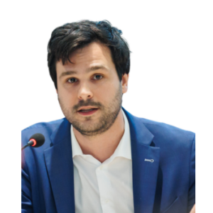 Dimitrie Vasile Miheș